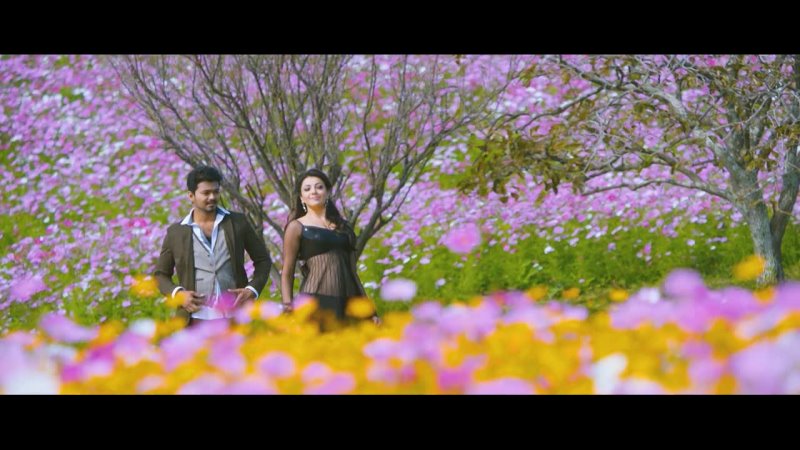 Jilla 2014 non tagliato 1080p bluray sud film org hindi o tamil x264